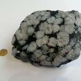 Naturalny kamień Obsydian Śnieżny w formie surowych brył nr 7