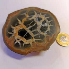 Naturalny kamień Septarian Smoczy Kamień polerowany nr 1