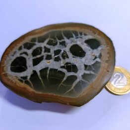 Naturalny kamień Septarian Smoczy Kamień polerowany nr 2